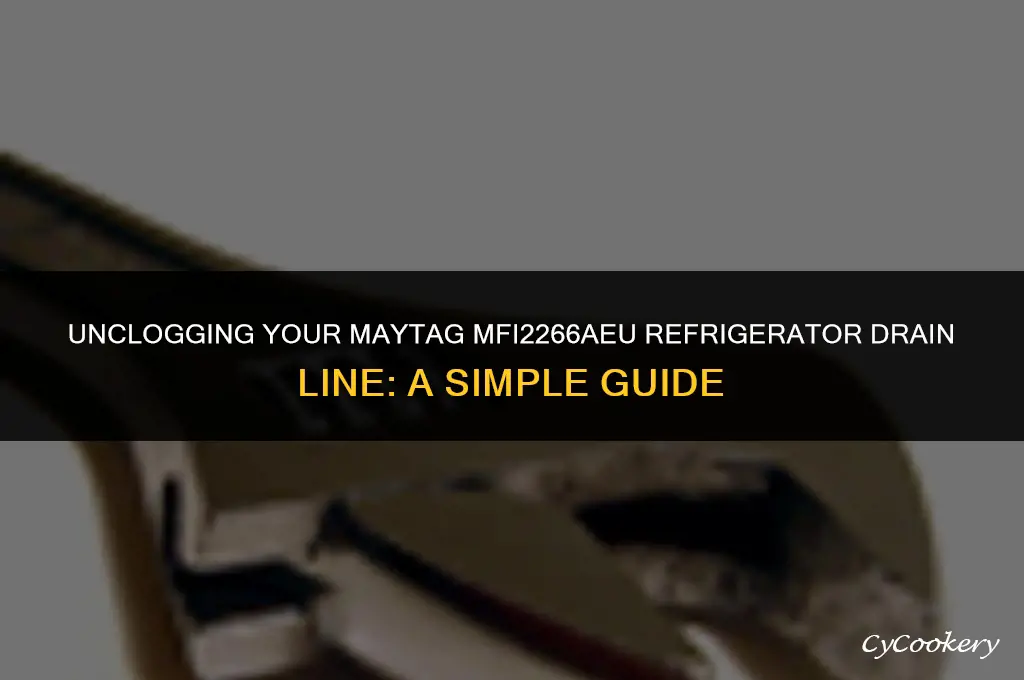 how to clean a refrigerator drain line maytag mfi2266aeu