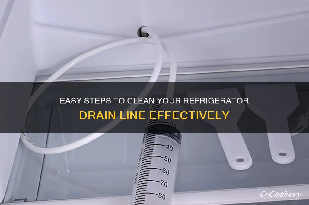 how to clean a refrigerator drain line