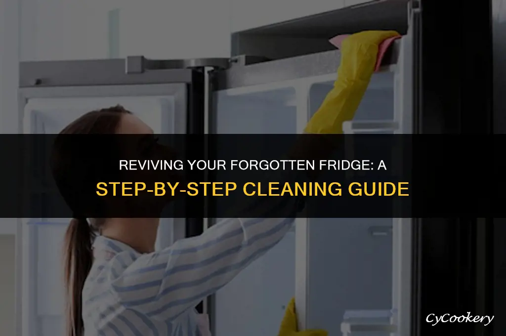 how to clean a refrigerator that has been sitting