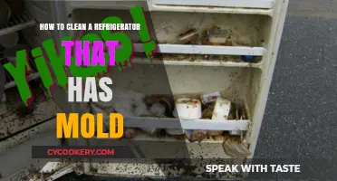 Effective Strategies to Eliminate Mold from Your Refrigerator