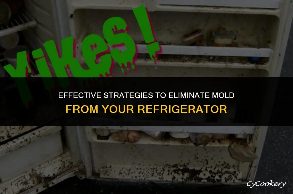 how to clean a refrigerator that has mold