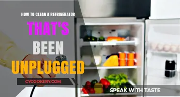 Reviving Your Unplugged Fridge: A Step-by-Step Cleaning Guide