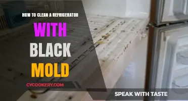 Effective Steps to Safely Remove Black Mold from Your Refrigerator