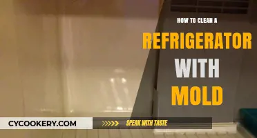 Effective Steps to Safely Remove Mold from Your Refrigerator
