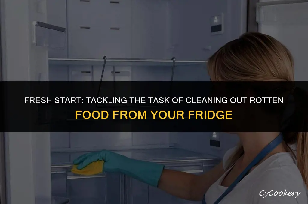 how to clean a refrigerator with rotten food