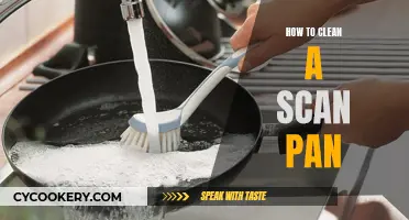 The Ultimate Guide to Cleaning Your Scan Pan