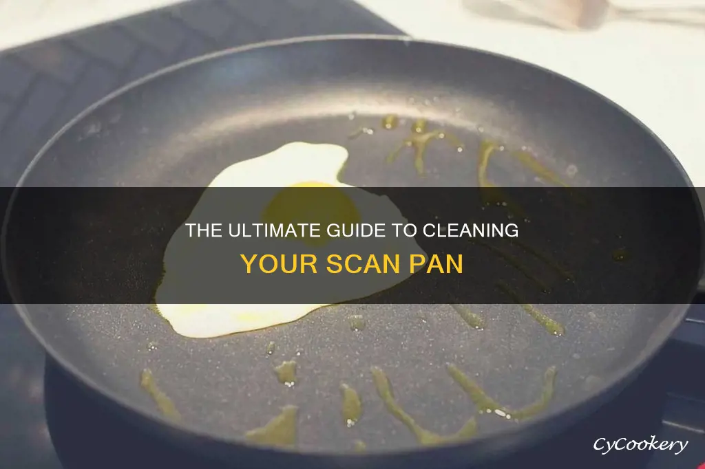 how to clean a scan pan