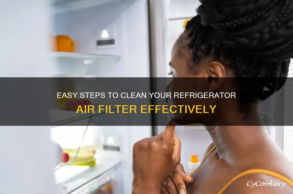 how to clean air filter for refrigerator