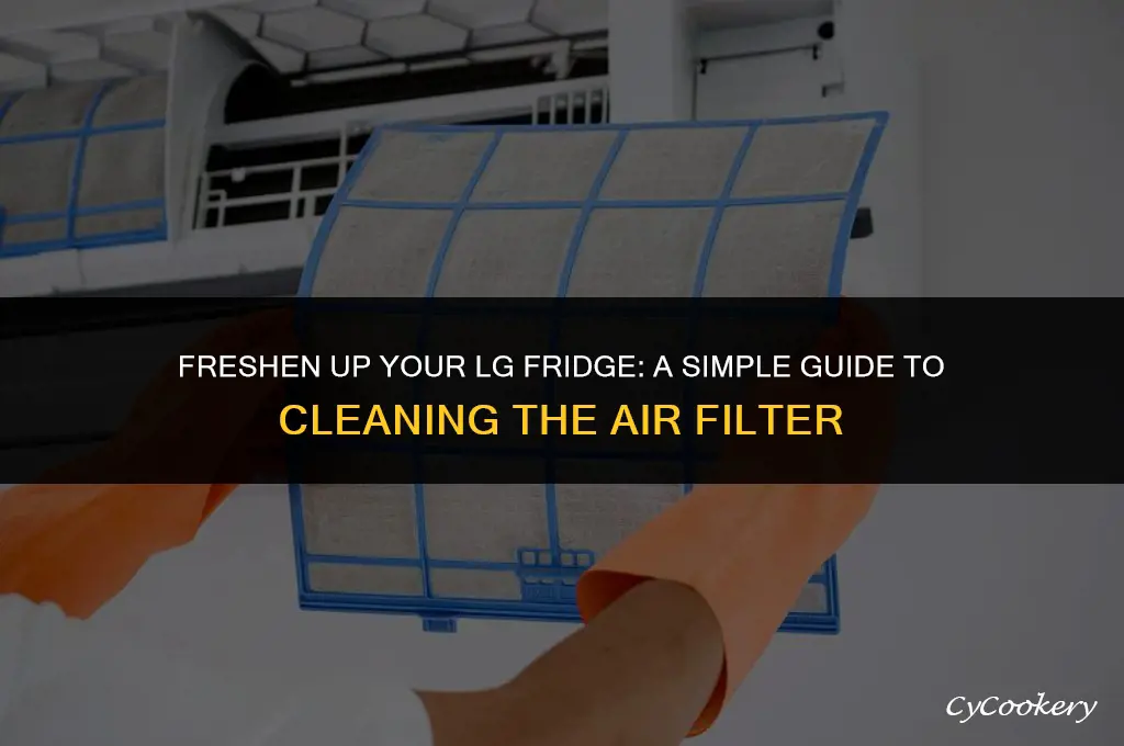 how to clean air filter in lg refrigerator