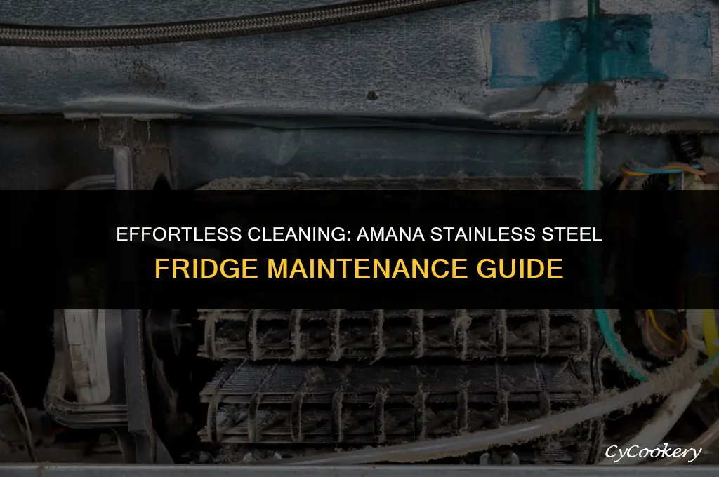 how to clean an amana stainless steel refrigerator
