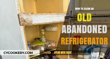 Reviving Forgotten Fridges: A Step-by-Step Guide to Cleaning Abandoned Refrigerators