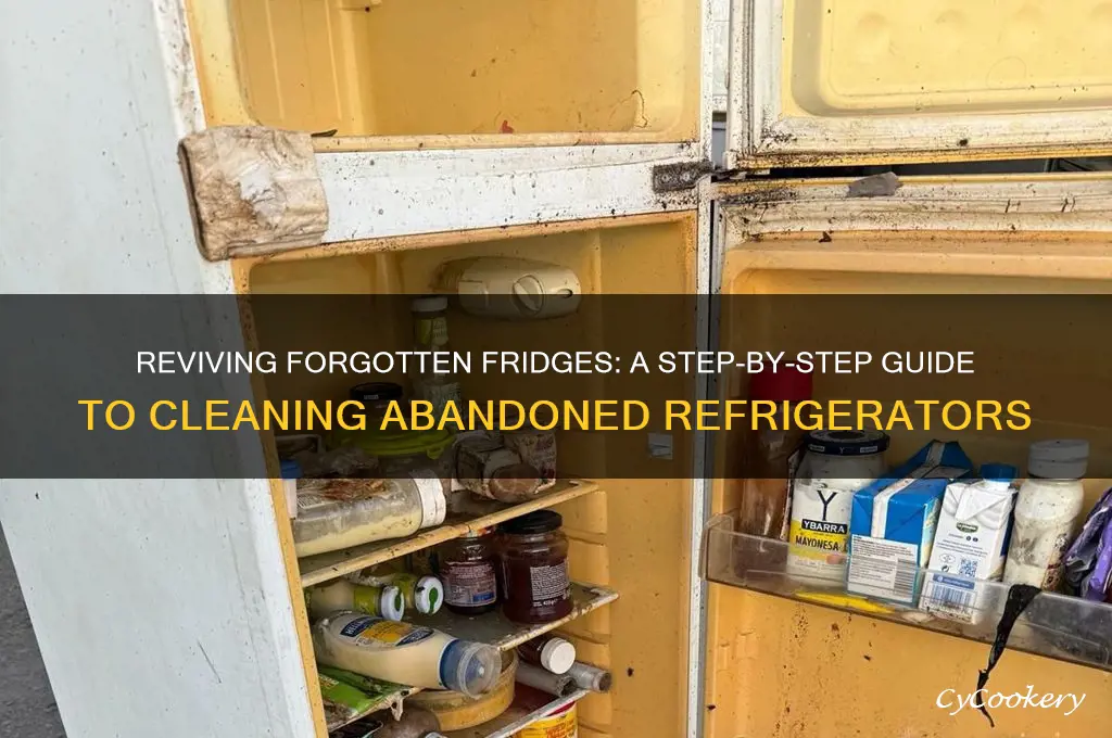 how to clean an old abandoned refrigerator