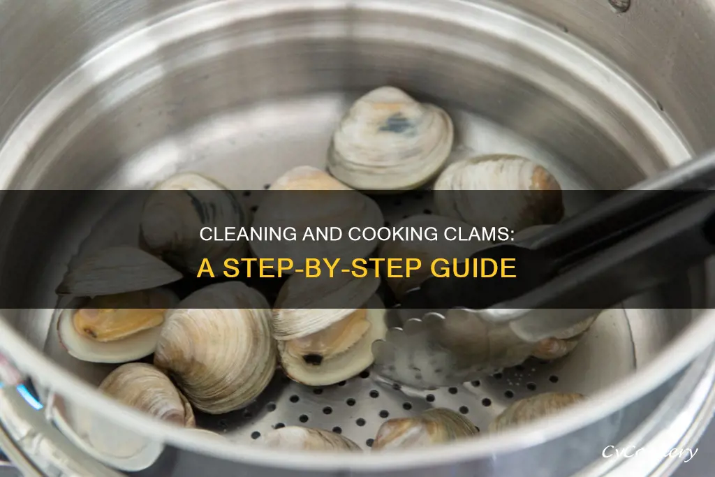 how to clean and cook steamed clams