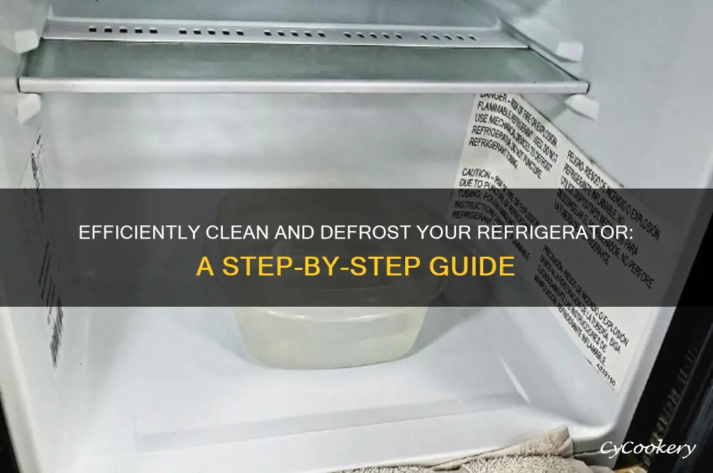 how to clean and defrost a refrigerator