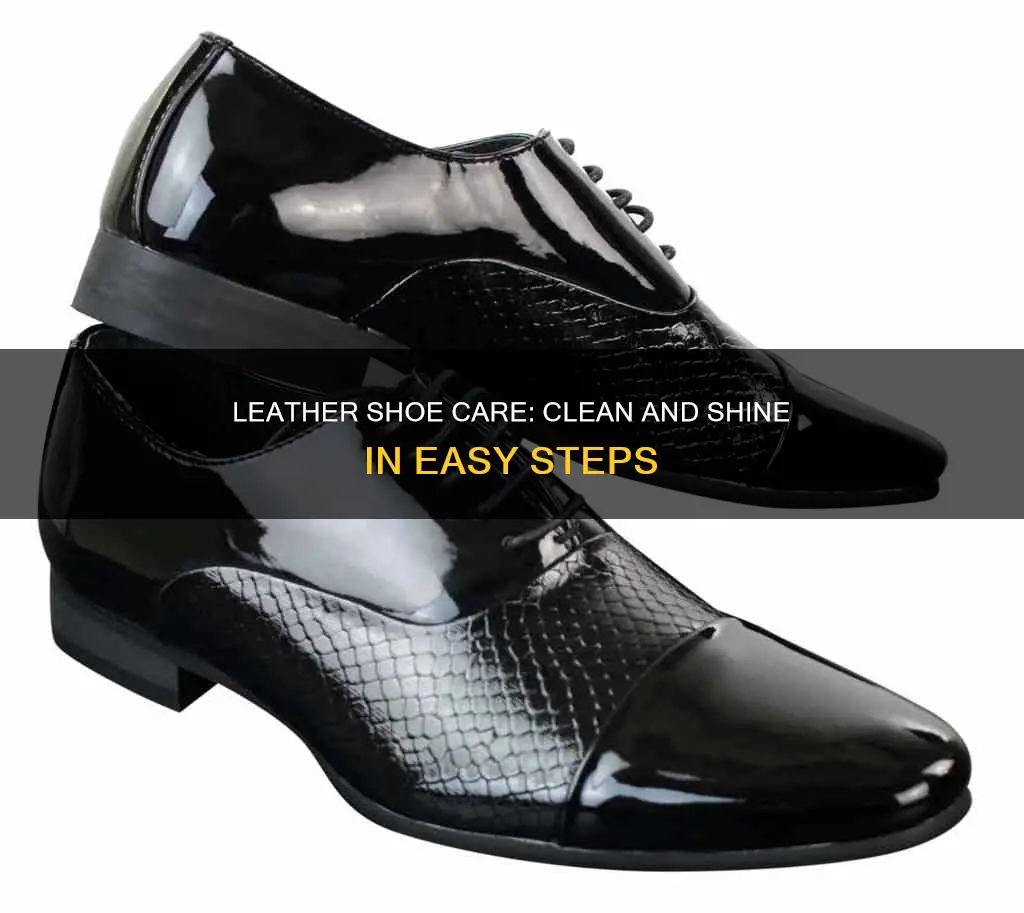 how to clean and shine pan leather shoes