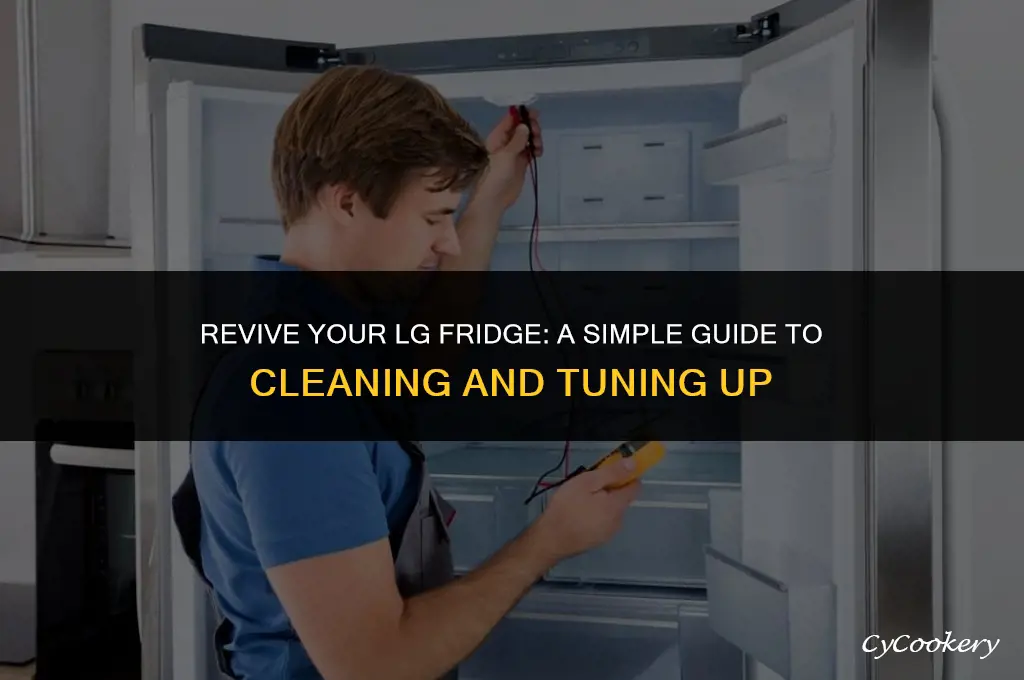 how to clean and tune-up a lg refrigerator