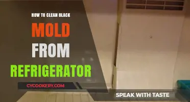 Effective Steps to Safely Remove Black Mold from Your Refrigerator