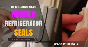 Effective Ways to Remove Black Mold from Rubber Refrigerator Seals