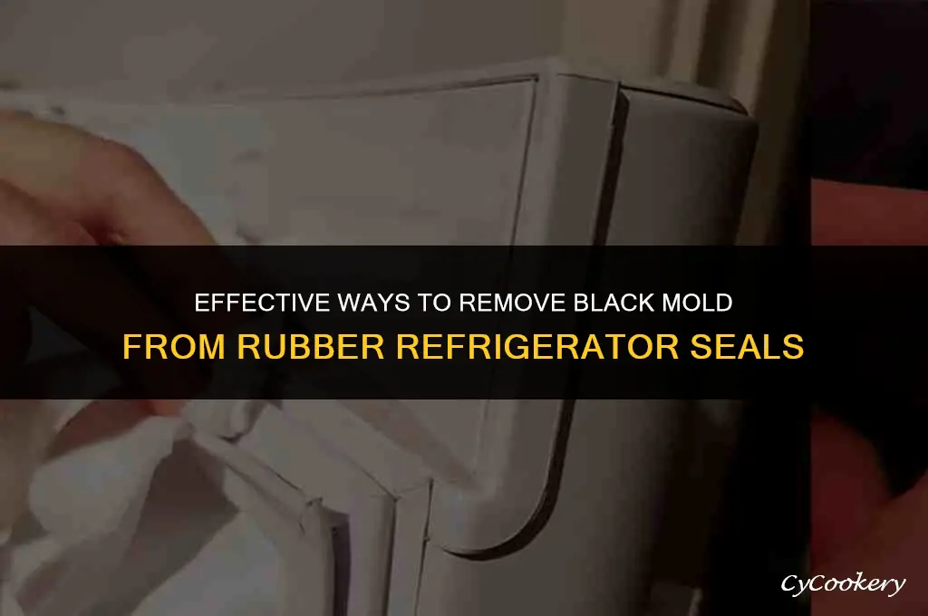 how to clean black mold of rubber refrigerator seals