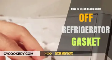 Effective Ways to Remove Black Mold from Your Refrigerator Gasket