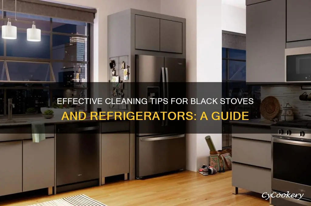 how to clean black stove and refrigerator