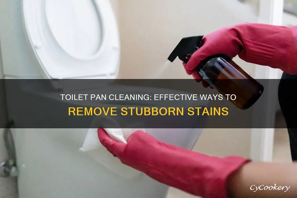 how to clean bottom of toilet pan