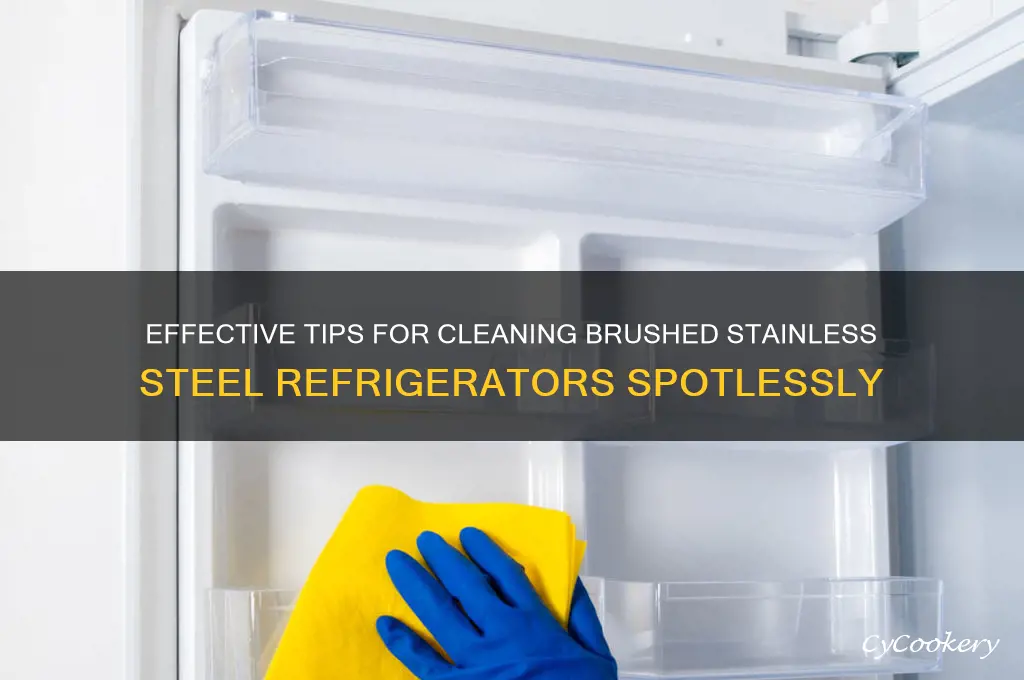 how to clean brushed stainless steel refrigerator