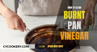 Cleaning a Burnt Pan: Vinegar to the Rescue!