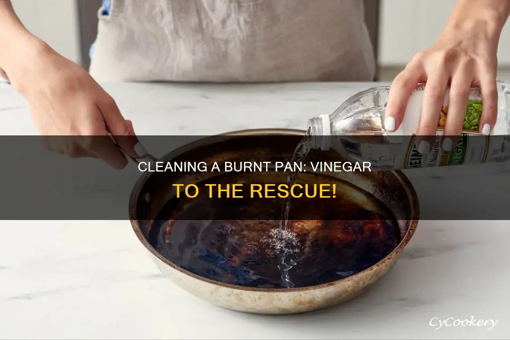 how to clean burnt pan vinegar