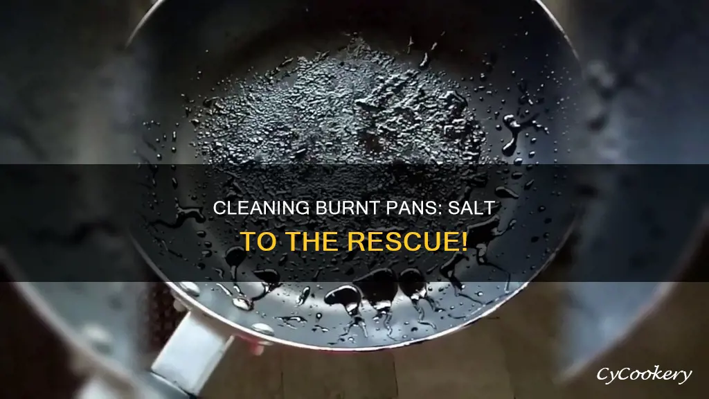 how to clean burnt pan with salt