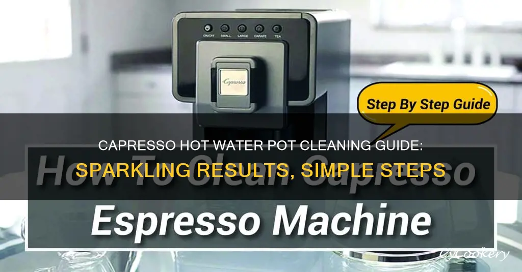 how to clean capresso hot water pot