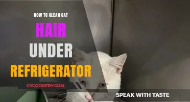 Quick Tips for Removing Cat Hair Under Your Refrigerator