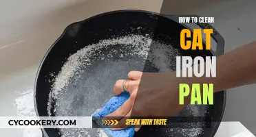 Cleaning Cat Iron Pan: Tips for Sparkling Cookware