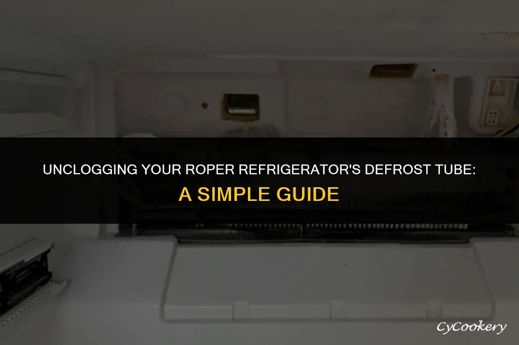 how to clean cloggeddefrost tube of roper refrigerator