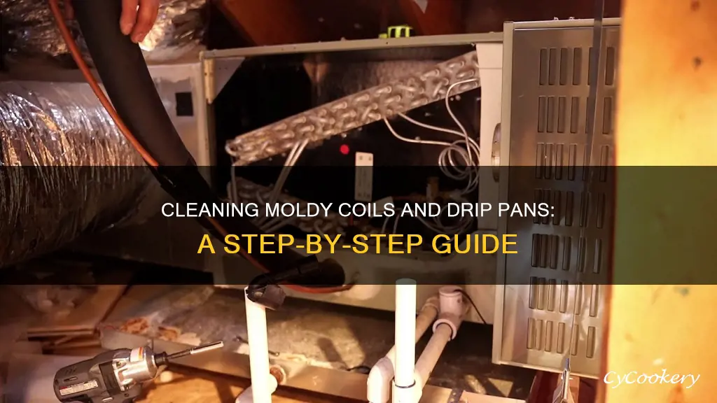 how to clean coils and drip pan of mold