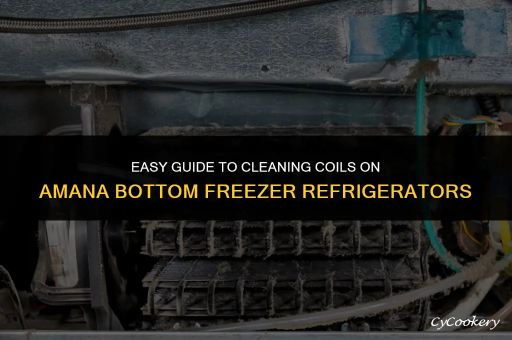 how to clean coils on amana bottom freezer refrigerator