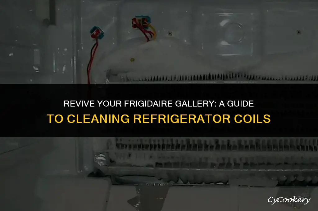 how to clean coils on frigidaire gallery refrigerator