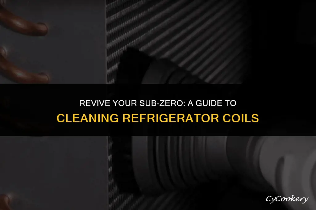 how to clean coils on sub zero refrigerator