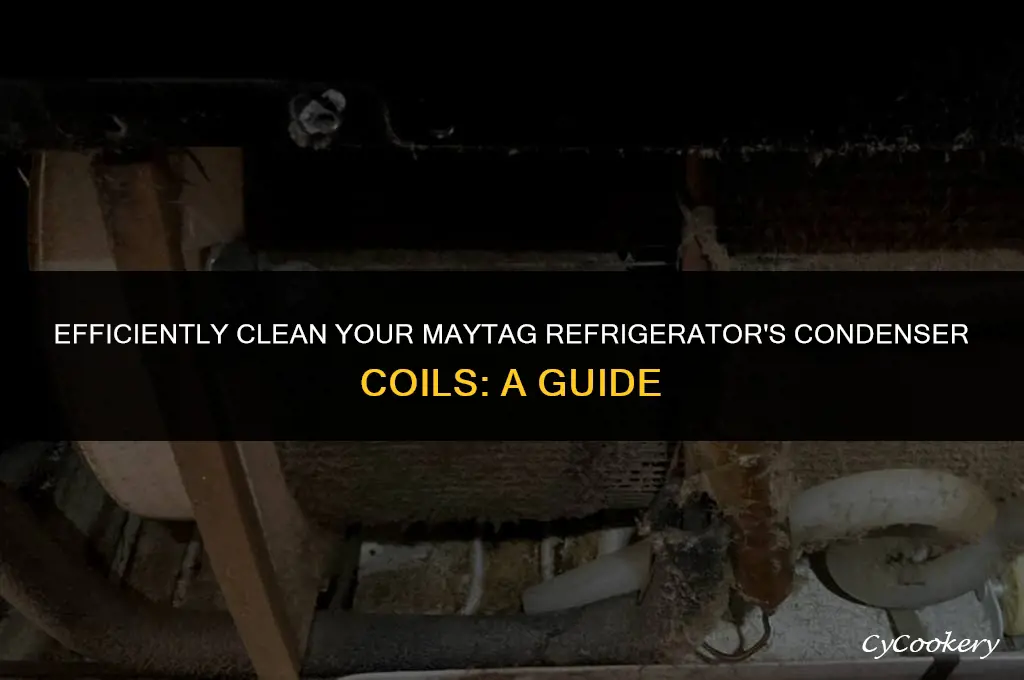 how to clean condenser coils on maytag refrigerator