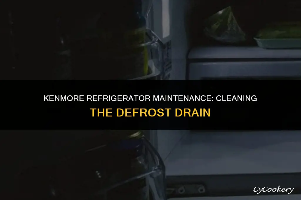 how to clean defrost drain on kenmore refrigerator