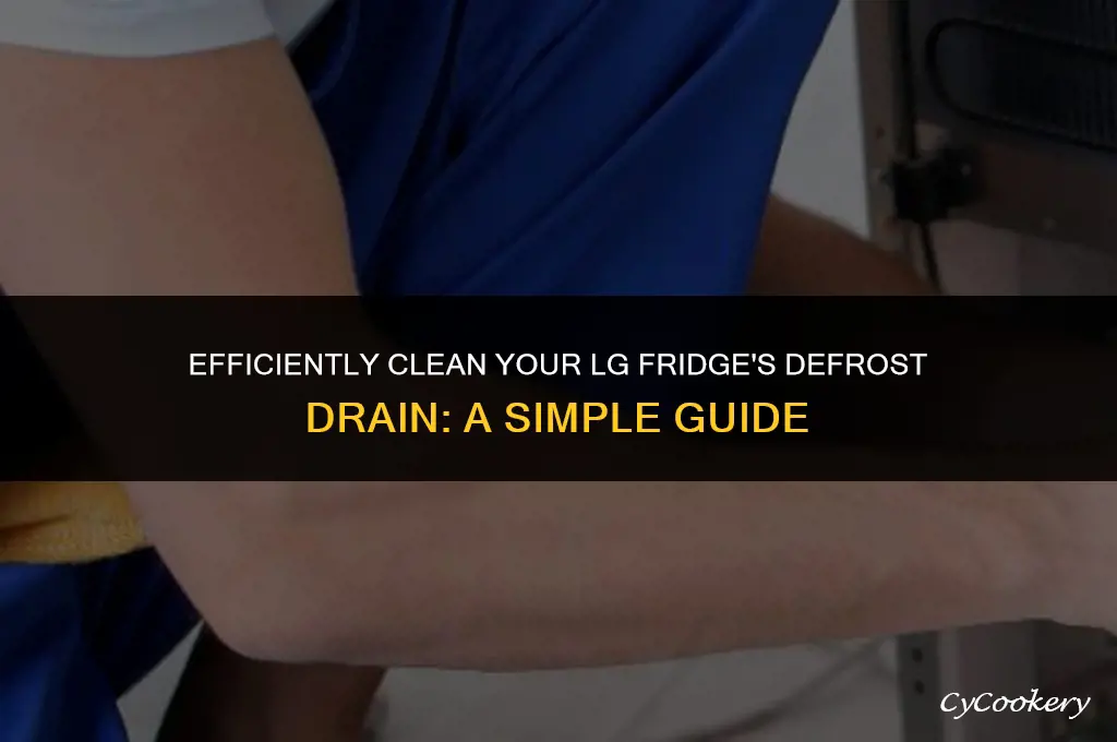 how to clean defrost drain on lg refrigerator