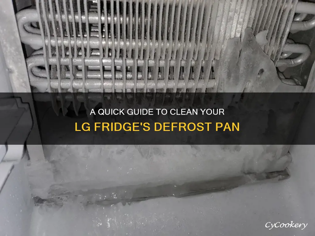 how to clean defrost pan in lg refrigerator