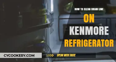 Unclogging Your Kenmore: A Guide to Cleaning Your Refrigerator Drain Line