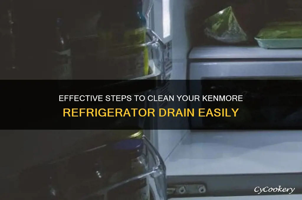 how to clean drain on kenmore refrigerator