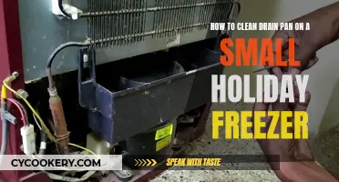 Cleaning Your Holiday Freezer: Drain Pan Maintenance