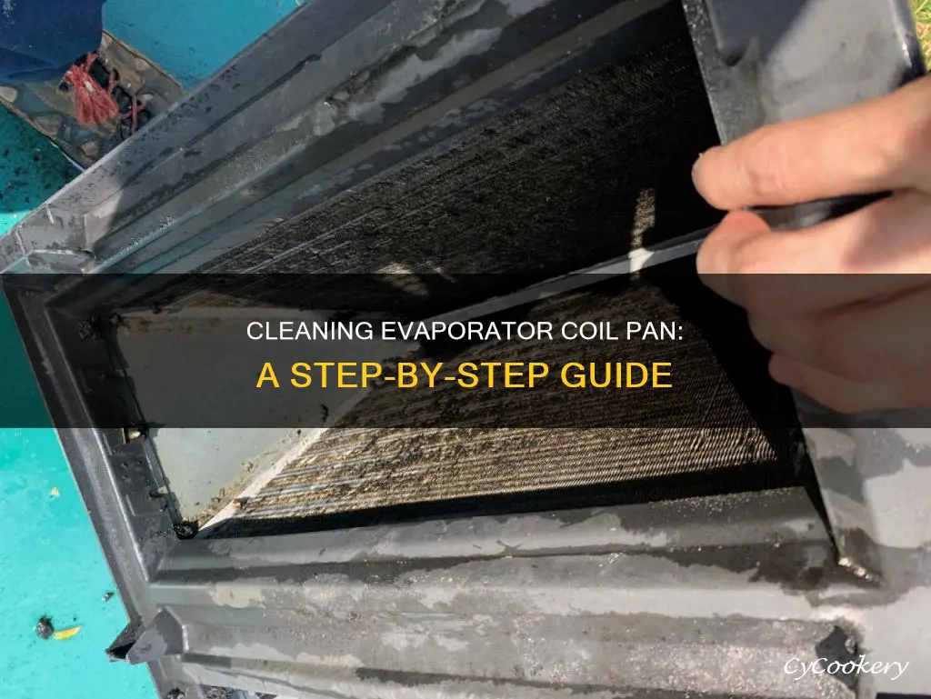 how to clean evaporator coil pan