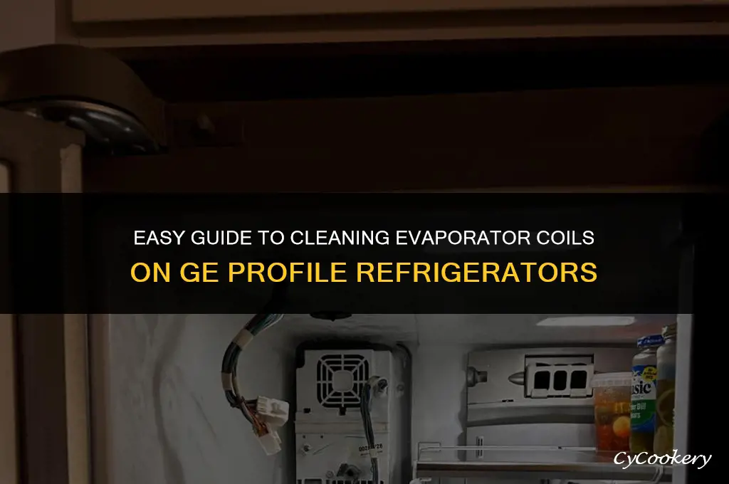 how to clean evaporator coils on ge profile refrigerator