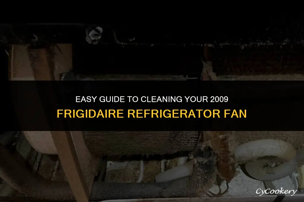 how to clean fan on 2009 frigidaire refrigerator