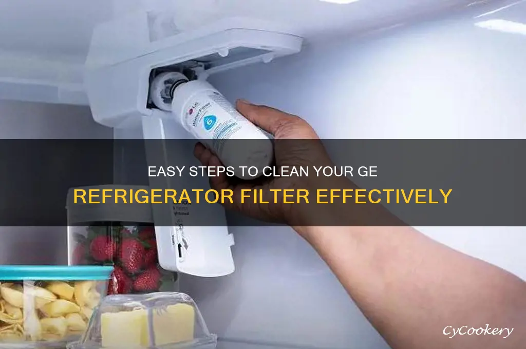how to clean filter in ge refrigerator