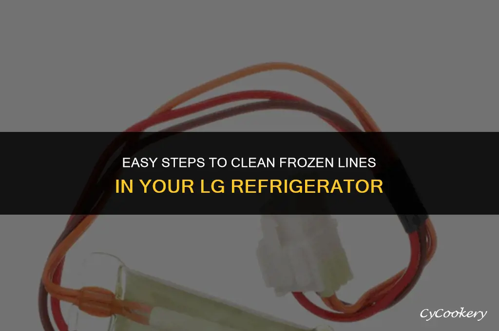how to clean frozen line in lg refrigerator
